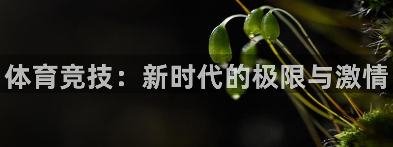 JJB竞技宝官方正版app娱乐首页网站大全：体育竞技