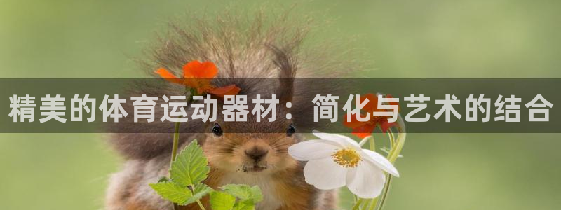JJB竞技宝官网下载平台假的吗是真的吗吗：精美的体育