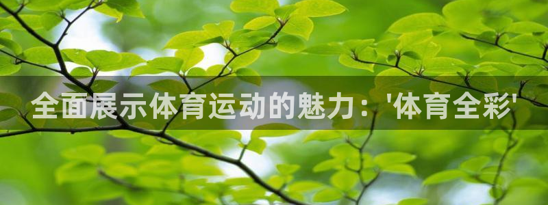 JJB竞技宝官网下载是干嘛的公司：全面展示体育运动的