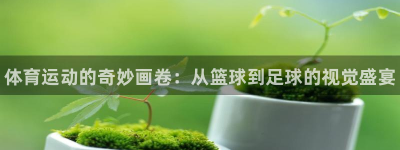 JJB竞技宝官网下载平台是正规平台吗安全吗：体育运动