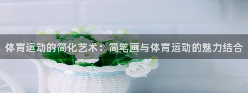 JJB竞技宝官网下载联系电话：体育运动的简化艺术：简