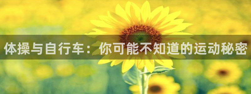 JJB竞技宝官网下载平台是正规平台吗安全吗：体操与自