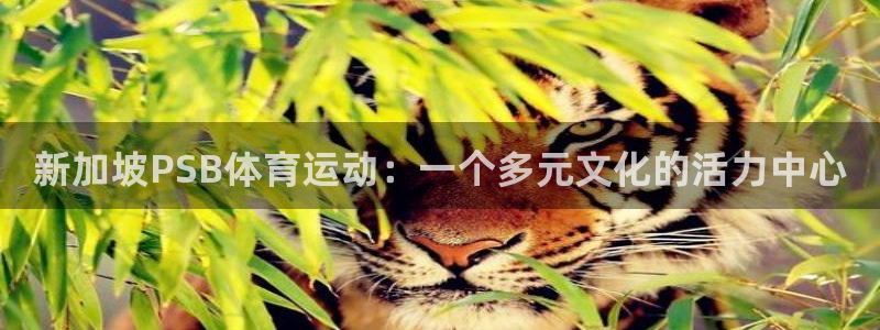 JJB竞技宝官网下载招商电话是多少啊