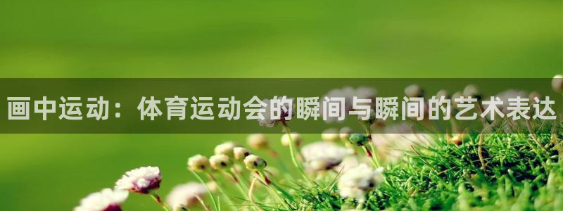 JJB竞技宝官网下载平台假的吗是真的吗吗：画中运动：体育运动
