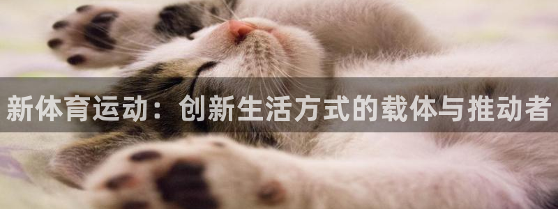 JJB竞技宝官网下载平台假的吗是真的吗吗