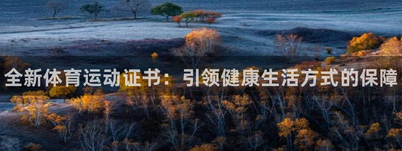 JJB竞技宝官网下载平台是正规平台吗：全新体育运动证书：引领