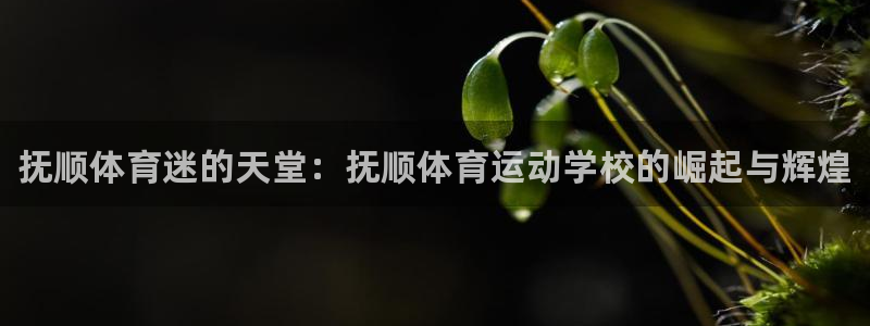 JJB竞技宝官网下载平台假的吗是真的吗吗：抚顺体育迷的天堂：