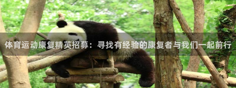 JJB竞技宝官方正版app新能源：体育运动康复精英招募：寻找
