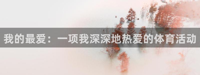 JJB竞技宝官方正版app集团：我的最爱：一项我深深地热爱的