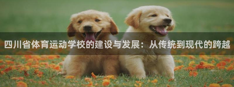 JJB竞技宝官方正版app娱乐：四川省体育运动学校的建设与发