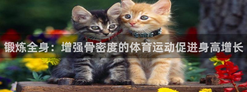 JJB竞技宝官方正版app集团官网首页：锻炼全身：增