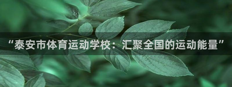 JJB竞技宝官网下载招商电话号码：“泰安市体育运动学校：汇聚