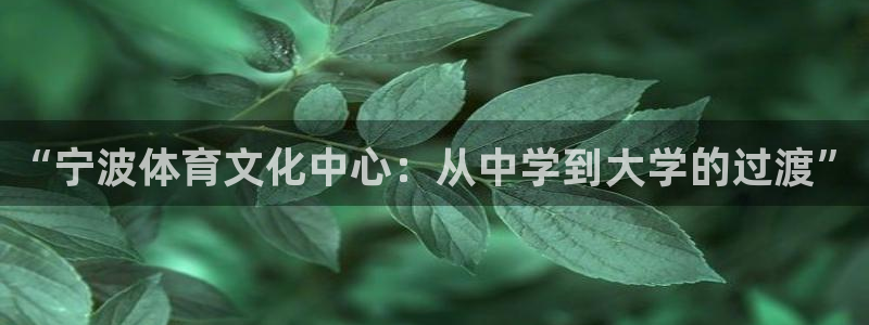 JJB竞技宝官网下载招商电话：“宁波体育文化中心：从