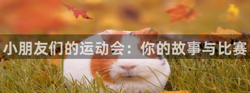 JJB竞技宝官网下载开户