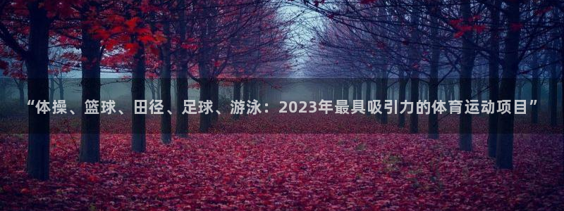 JJB竞技宝官网下载招商：“体操、篮球、田径、足球、游泳：2